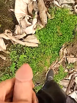 Sikici0734 online show from January 12, 2026, 8:32 am