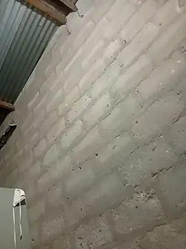 Taliavg online show from December 5, 2025, 5:50 am