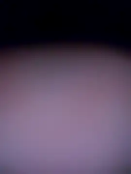 Snapshot of shannon_kinne_ chatting on November 4, 2025, 10:30 am shannon kinne online show from November 4, 2025, 10:30 am