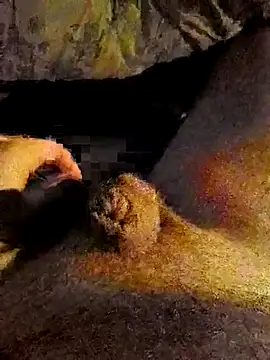 Snapshot of Patrice51230 chatting on November 27, 2025, 1:55 pm Patrice51230 online show from November 27, 2025, 1:55 pm