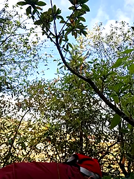 miomio-12 online show from November 23, 2025, 2:43 am