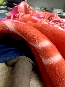 pn12345 online show from November 8, 2025, 4:32 pm