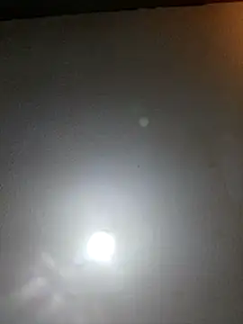 T1T012 online show from February 13, 2026, 1:38 am