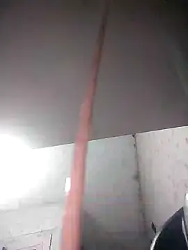 TermedScherzo online show from November 26, 2025, 8:14 am