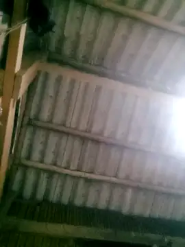 Ducky27021991 online show from October 18, 2025, 12:18 pm