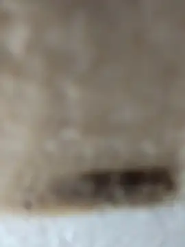 Snapshot of Cr_sonam chatting on November 24, 2025, 11:27 pm Cr sonam online show from November 24, 2025, 11:27 pm