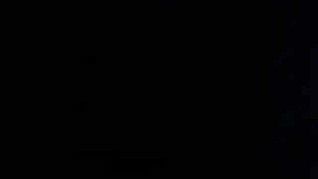 rose more   online show from November 20, 2025, 1:56 pm