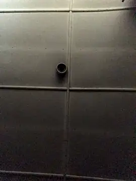 Venusasss online show from December 21, 2025, 3:25 pm