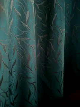 Snapshot of Raj-Varma chatting on October 7, 2025, 11:22 am Raj-Varma online show from October 7, 2025, 11:22 am