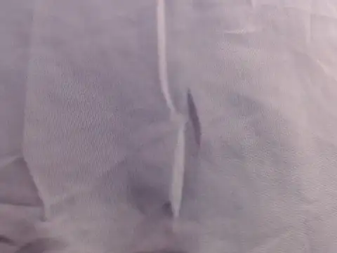 Lacey76 online show from November 5, 2025, 7:50 pm