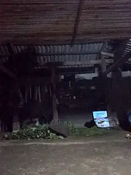 jerry-xx online show from March 28, 2026, 10:11 pm