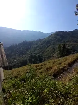 limely- online show from November 27, 2025, 6:47 am