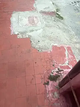 oralin online show from January 13, 2026, 8:02 pm