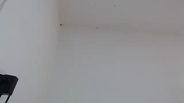 drako monster online show from February 4, 2026, 3:18 pm