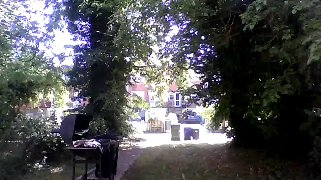 dezzidavill online show from May 20, 2026, 1:52 pm