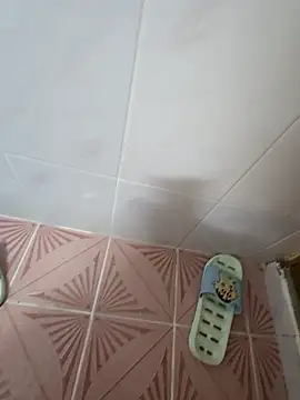 Xiaodebu12 online show from December 1, 2025, 6:36 am