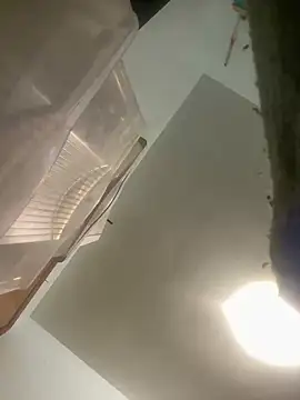 Brooklyn1987 online show from April 23, 2026, 5:03 pm