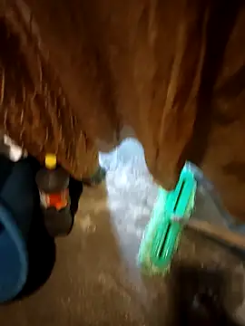 Rayangiss online show from November 16, 2025, 10:02 pm