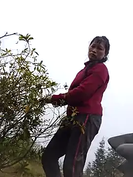 siusiu-00 online show from November 12, 2025, 9:13 am