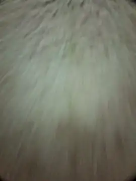 torresflow99nais online show from November 25, 2025, 11:32 am