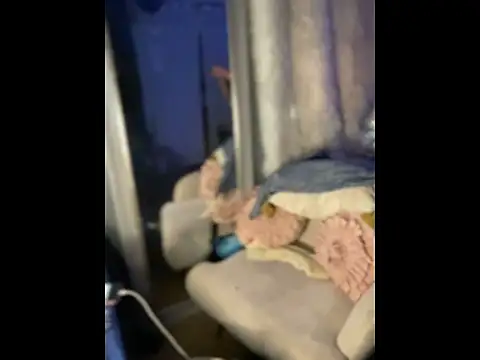 Snapshot of queenkelly1234 chatting on April 10, 2026, 9:44 pm queenkelly1234 online show from April 10, 2026, 9:44 pm