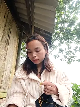 Nguyet2k4 online show from January 14, 2026, 1:42 am