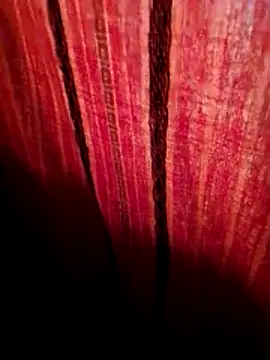 Snapshot of svk_05 chatting on November 12, 2025, 1:21 am svk 05 online show from November 12, 2025, 1:21 am