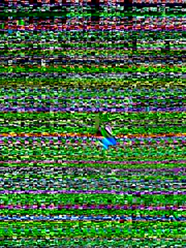 Snapshot of Your_hope77 chatting on November 3, 2025, 4:21 pm Your hope77 online show from November 3, 2025, 4:21 pm