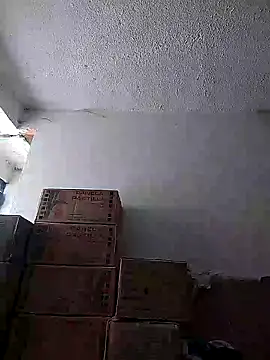 Cristal-sm online show from November 20, 2025, 2:29 pm