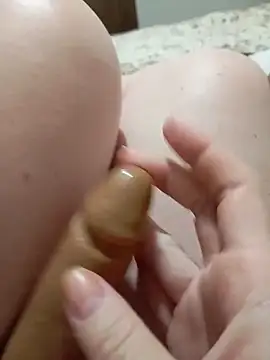 Taradinha pelosogro online show from November 19, 2025, 11:10 am