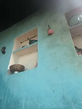 Ragni bhargav online show from December 1, 2025, 4:57 am