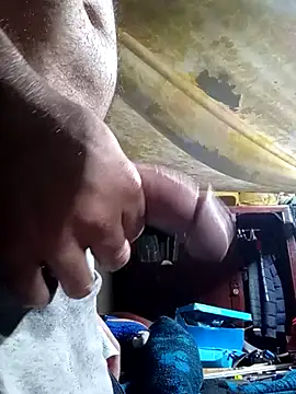 Cogelonregio online show from November 28, 2025, 6:35 am