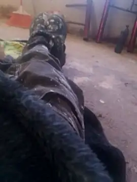 Orlao25cm online show from November 8, 2025, 1:58 pm