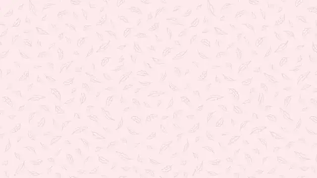 Nalan   online show from November 14, 2025, 6:06 am