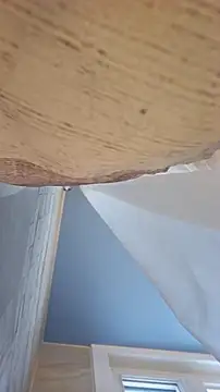 Sexecochon online show from December 22, 2025, 1:55 pm