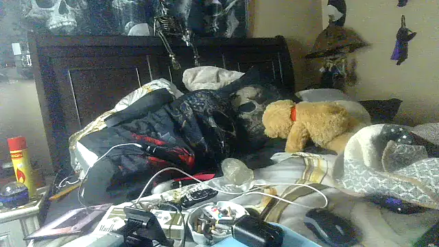 Snapshot of bigdaddyrooster chatting on January 14, 2026, 6:28 am bigdaddyrooster online show from January 14, 2026, 6:28 am