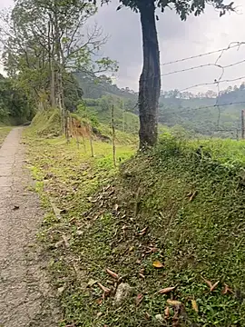 motomotoboy online show from March 5, 2026, 6:48 pm