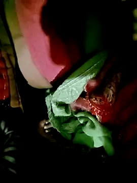 Snapshot of Hot_cauple_indian chatting on December 1, 2025, 3:57 pm Hot cauple indian online show from December 1, 2025, 3:57 pm