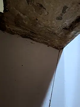 67yoki online show from November 15, 2025, 5:55 am