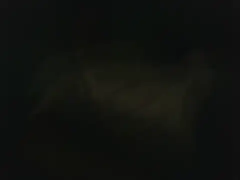 Snapshot of wolfffff32 chatting on October 18, 2025, 7:38 pm wolfffff32 online show from October 18, 2025, 7:38 pm