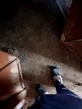 Saddam2332 online show from November 9, 2025, 2:48 am