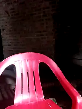 Bear bear0 online show from November 3, 2025, 10:46 pm