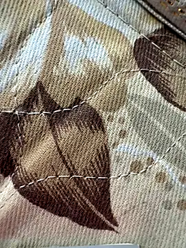 Snapshot of cheems232 chatting on November 28, 2025, 8:14 am cheems232 online show from November 28, 2025, 8:14 am