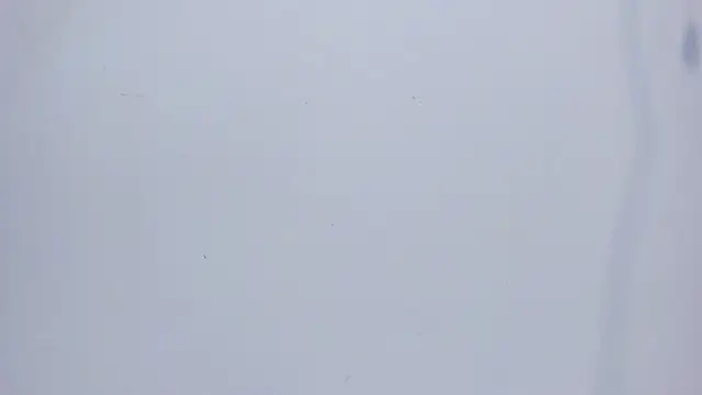 Snapshot of mirandaduboiss chatting on April 13, 2026, 5:06 pm mirandaduboiss online show from April 13, 2026, 5:06 pm