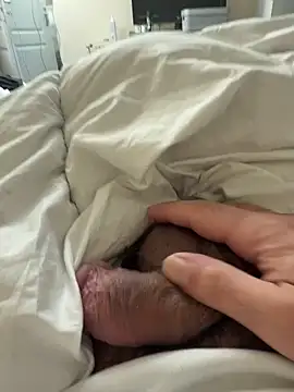 Snapshot of BicolorCandidate81 chatting on October 30, 2025, 12:47 pm BicolorCandidate81 online show from October 30, 2025, 12:47 pm