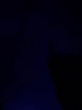 Snapshot of alfarabisami chatting on June 10, 2026, 9:05 pm alfarabisami online show from June 10, 2026, 9:05 pm