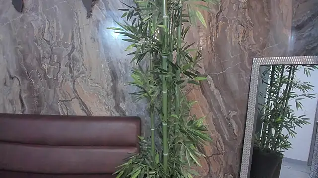 Snapshot of sydney_miller_ chatting on November 13, 2025, 11:30 pm sydney miller online show from November 13, 2025, 11:30 pm