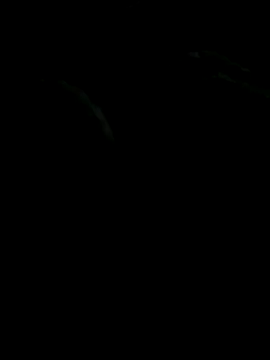 Snapshot of Smithy095 chatting on November 1, 2025, 9:52 pm Smithy095 online show from November 1, 2025, 9:52 pm