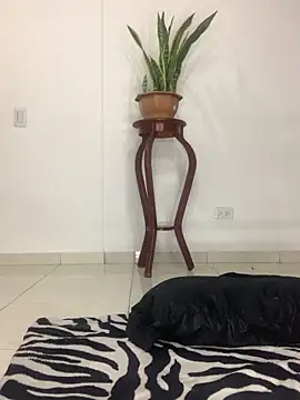 Snapshot of MARIANAGATE chatting on November 12, 2025, 3:43 am MARIANAGATE online show from November 12, 2025, 3:43 am