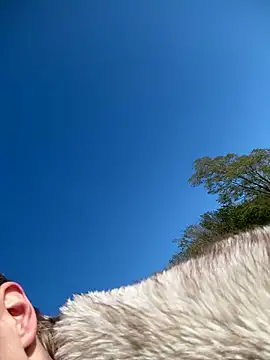 Lilbratofficial online show from April 15, 2026, 4:22 pm